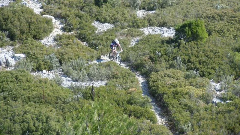 2011_cmt_cassis7_dsct1